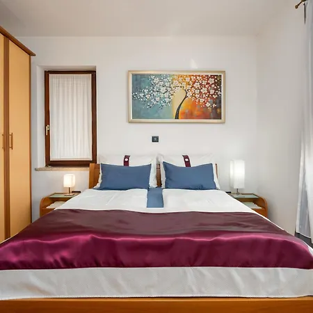 Apartment Budinjas *