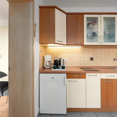 Apartment Budinjas *